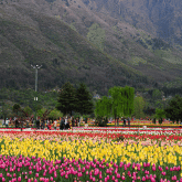 Kashmir with Gurez Valley Tour